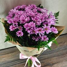 Букет цветов из:  Хризантемы #REPLACE_PRED# Сосновке