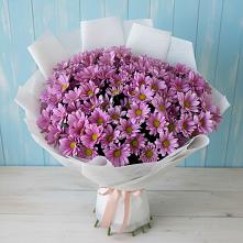 Букет цветов из:  Хризантемы в Сосновке