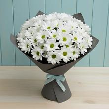 Букет цветов из:  Хризантемы #REPLACE_PRED# Сосновке