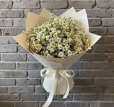 Букет цветов из:  Ромашки в Сосновке