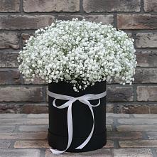 Цветочная композиция из Гипсофила в шляпной коробке в Сосновке